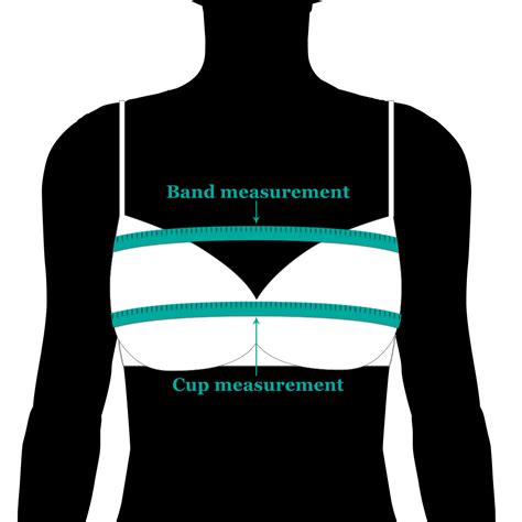 How Measure Bra Size