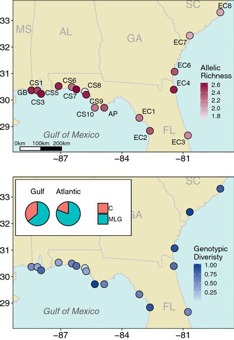 Maps showing allelic richness (top) and genotypic diversity (bottom ...