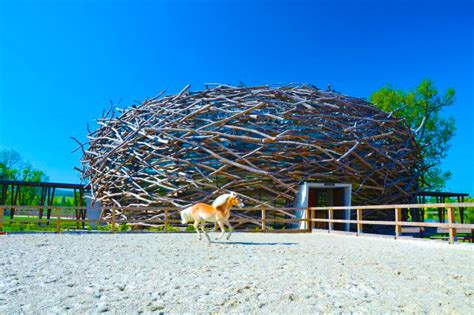 nest equestrian center « Inhabitat – Green Design, Innovation, Architecture, Green Building