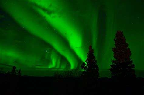 Free Images : atmosphere, green, aurora borealis, yukon, northern ...