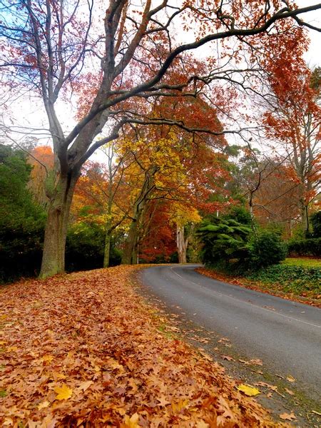 Autumn on the country road — Stock Photo © idizimage #10771125