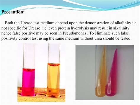 Biochemical reactions