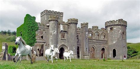 Connemara Ponies gallop in front of Clifden Castle. | Connemara pony ...