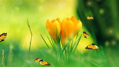 Spring Screensaver - Spring Charm Screensaver | Spring charms, Screen ...