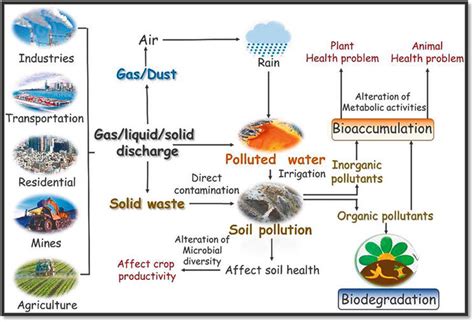 Heavy Metal’s Environmental Impact | IntechOpen