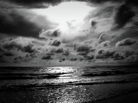 Black and White Beach Sunset Photograph by Alice Grove - Pixels