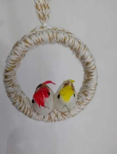 Bird Nest at best price in New Delhi by JS Enterprises | ID: 24333875755