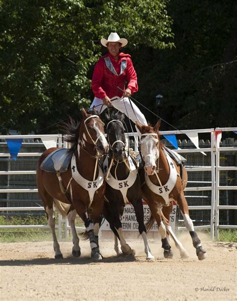 1000+ images about Trick riding on Pinterest | Montana, Photography ...