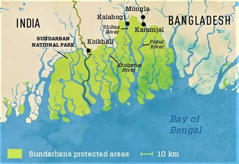 Sunderbans home to 428 species of birds: ZSI "EMPOWER IAS" | Empower IAS