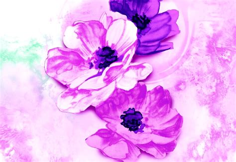 50+ Painted flowers wallpapers HD 🔥 Download Free backgrounds