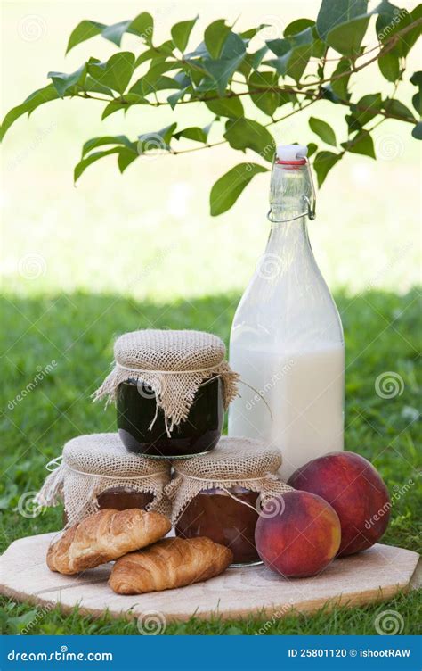 Morning food stock photo. Image of bottle, farmland, ground - 25801120