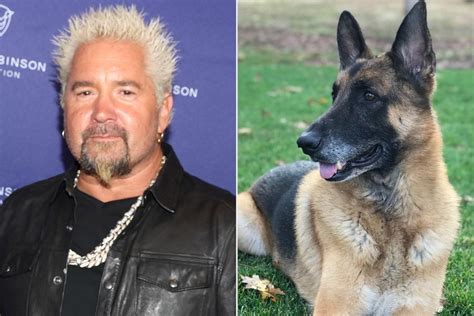 Guy Fieri Shares News of Dog's Death the Day Before His Birthday ...