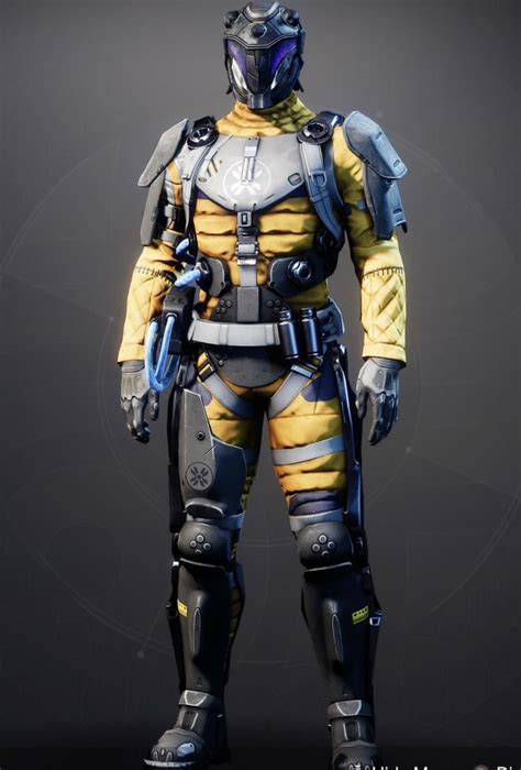 Void Hunter : r/DestinyFashion