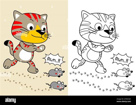 Funny cat hunting mice, vector cartoon illustration, coloring page or book Stock Vector Image ...