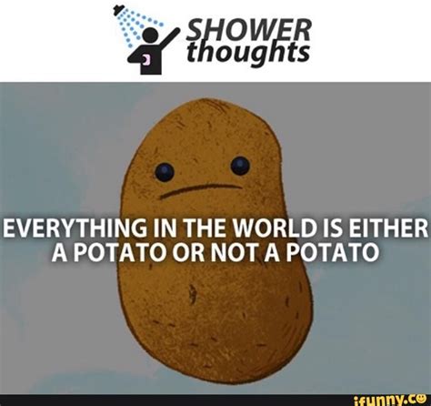 showerthoughtsdaily, showerthoughts, Potato, or, not | Potato funny, Potato meme, Pinterest humor