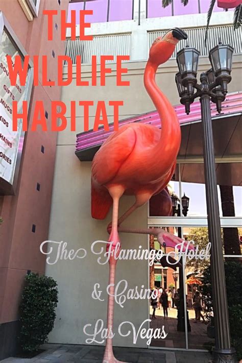 The Wildlife Habitat at The Flamingo Hotel & Casino Las Vegas #lasvegas #flamingo www ...