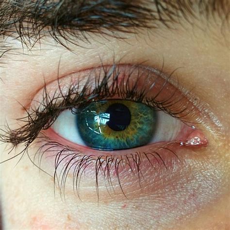 Related image | Beautiful eyes color, Cool eyes, Aesthetic eyes