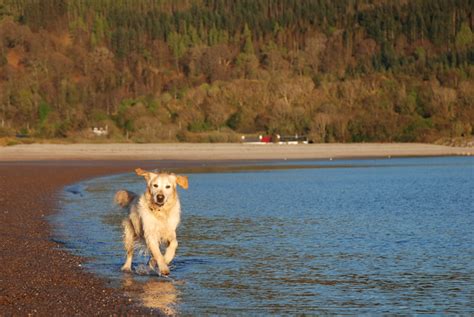 Evening on Tralee Beach | large holiday cottage, near Oban