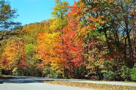 Here's When You Expect Fall Foliage To Peak Throughout North Carolina