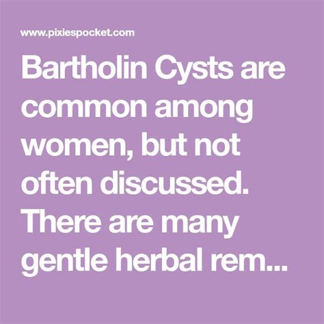 Bartholin Cyst Anatomy