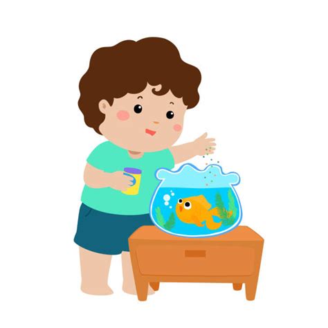 Fish Tank Feeding Illustrations, Royalty-Free Vector Graphics & Clip Art - iStock