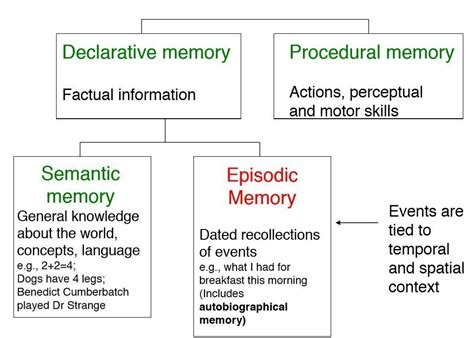 PSY246: Episodic memory | Flashcards