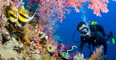 From Hurghada: Paradise Island Full-Day Snorkeling Tour – Relax Tours Egypt