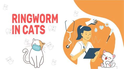 Ringworm In Cats: Symptoms, Treatment And Prevention - Petmoo