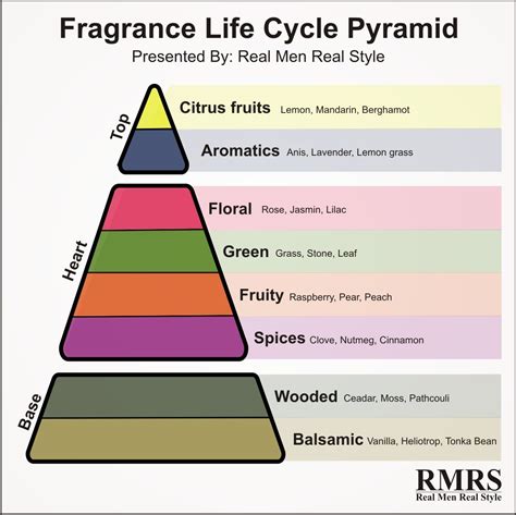 Fragrance Life Cycle Pyramid Infographic