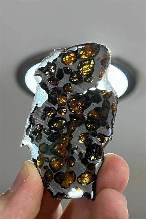 Pallasite Meteorite | ubicaciondepersonas.cdmx.gob.mx