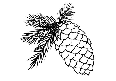 Pine Cone Clip Art Line Art Outline Pine Cone Clipart - Etsy