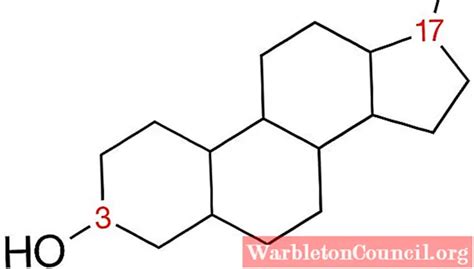 Sterols: structure, functions and examples - science - 2024