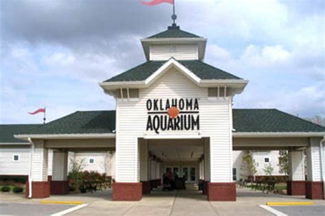 oklahoma-aquarium-jenks | Oklahoma aquarium, Tulsa aquarium, Aquarium ...