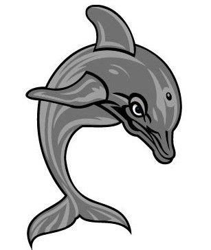 CMSV Mascot Vinny the Dolphin! | College of Mount Saint Vincent ...