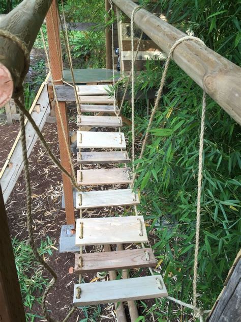 Diy Rope Bridge - DIY