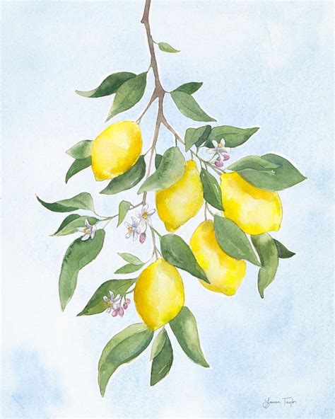 Limited Edition Clementine | Lemon watercolor, Watercolor print, Lemon art