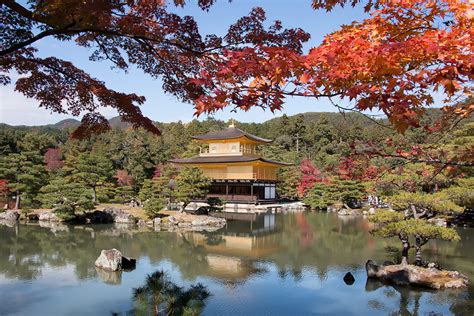 Kyoto Autumn Leaves - When to Go and Best Places to Visit | ContemporaryNomad.com