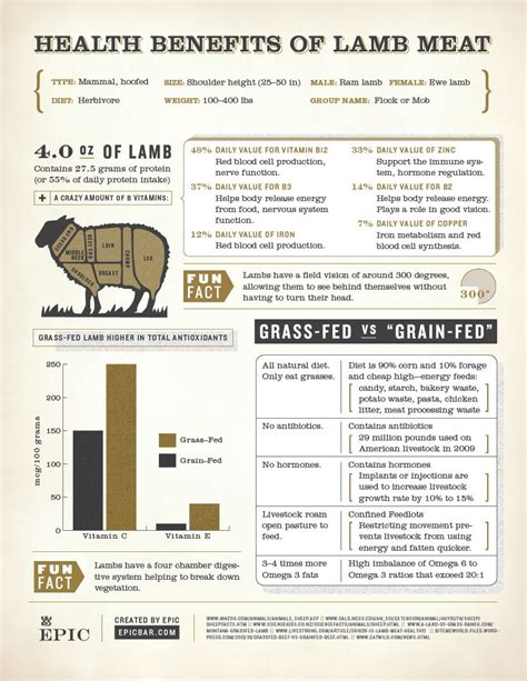 lamb meat nutrition