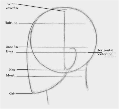 Drawings: EXPLORING OTHER VIEWS | Drawing tips, Drawing tutorial face, Drawing heads