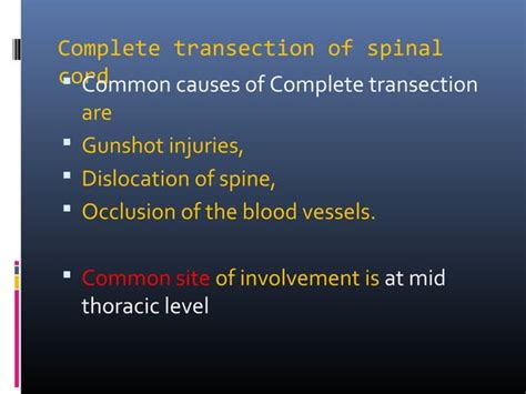 Spinal shock Physiology | PPT