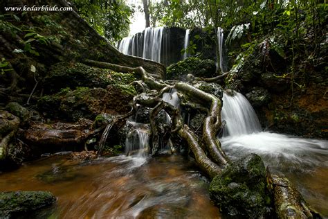 Agumbe – Rainforest – Kedar Bhide