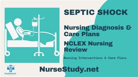 Septic Shock Nursing Diagnosis & Care Plan - NurseStudy.Net