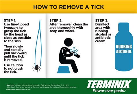 Tick Tips Infographic How To Prevent Tick Bites - vrogue.co