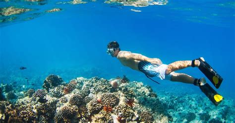 Best Snorkeling Beaches in Oahu - Snorkels and Fins