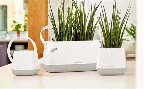 The Best Self-Watering Planters for Indoor and Outdoor Use