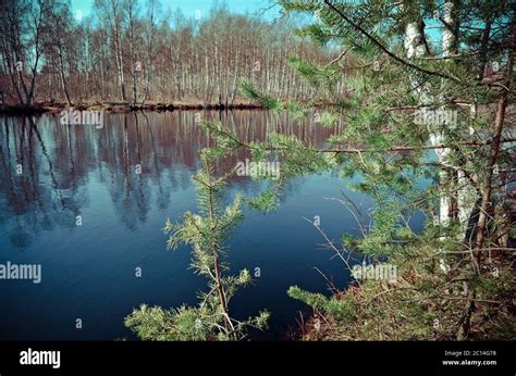 Spring flooding on the river Stock Photo - Alamy