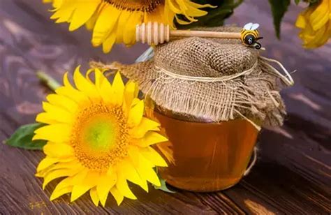 Benefits of Texas Local Honey for Kids | The Kid's Directory