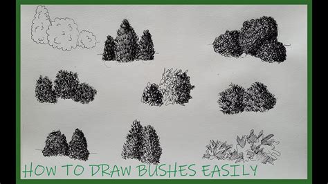 How to Draw Bushes - YouTube