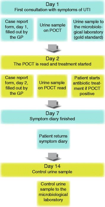 Flow-chart for data collection. POCT: Point of care test. This refers ...