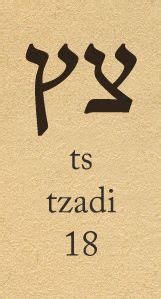 צ Tzadi | Learn hebrew, Hebrew words, Hebrew lessons